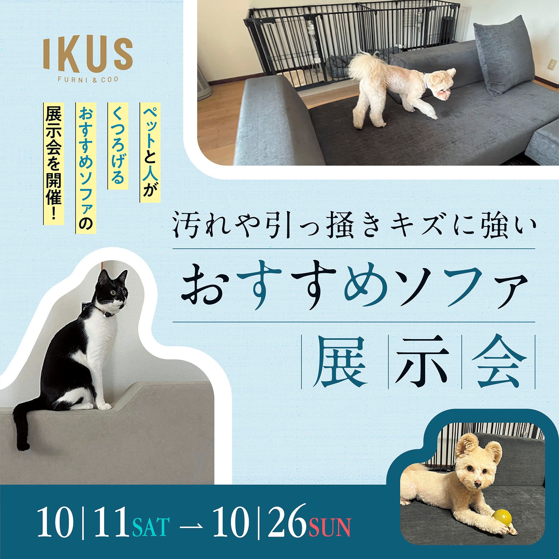 FLANNEL SOFA展示会 inIKUS東広島店